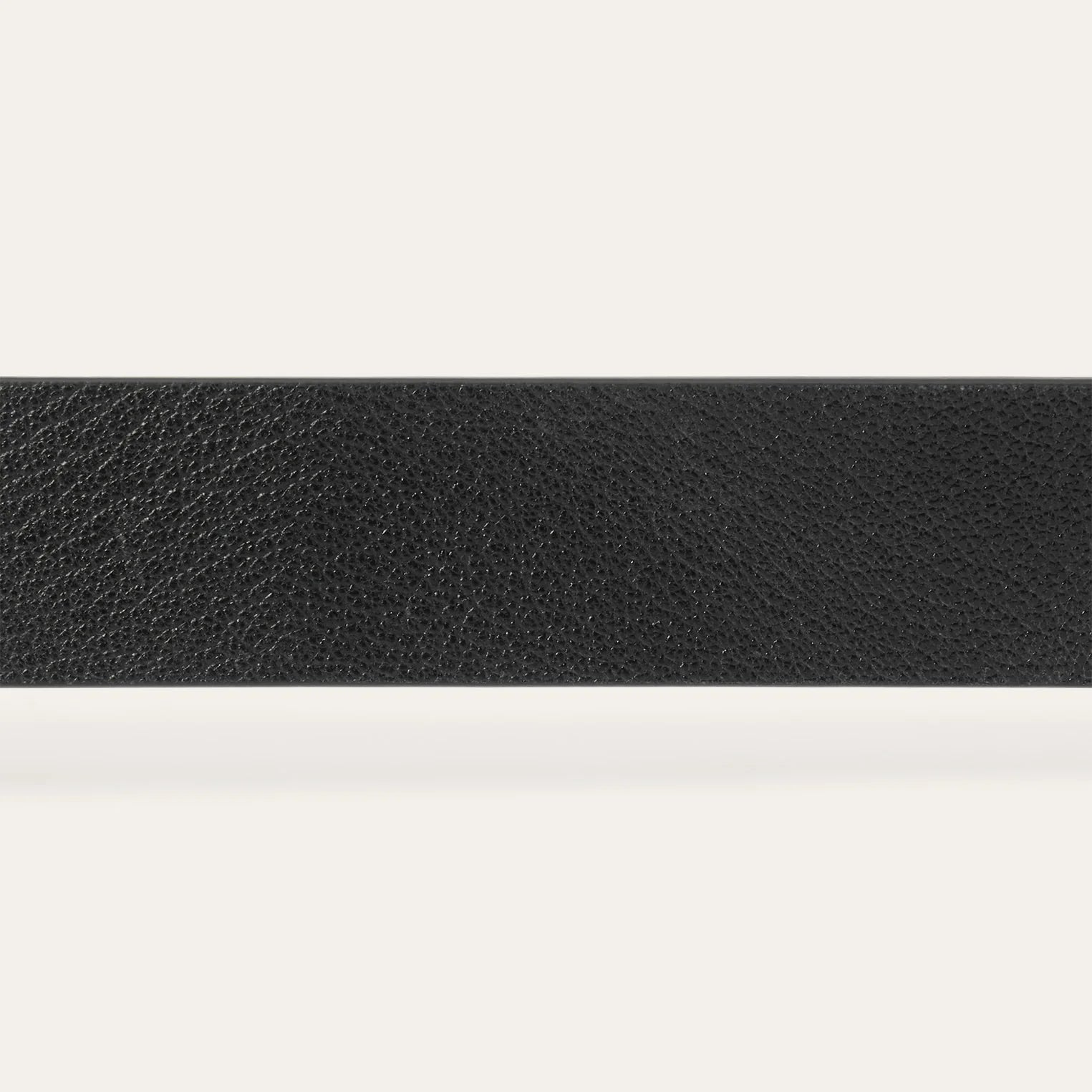 THE BIG BUCKLE BELT - BLACK WITH SILVER